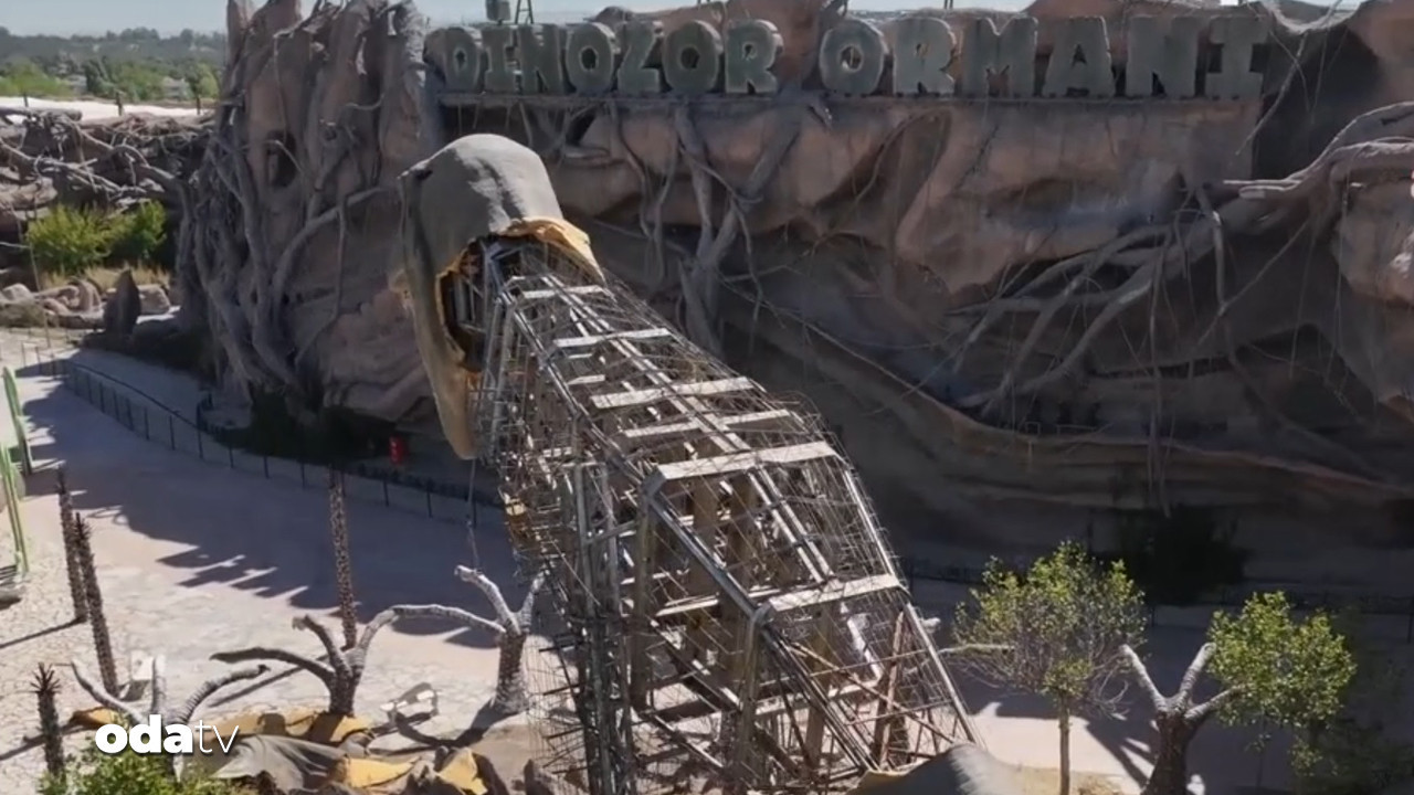 gokcekin milyarlik dinozorlari curudu b6i9yHhE