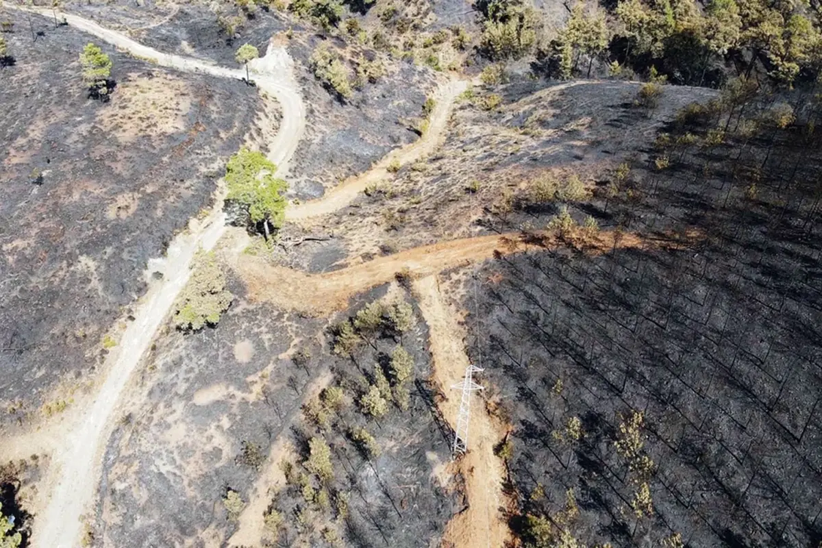 koycegiz orman yangini ikinci gunde kontrol altinda NNwVwq3R