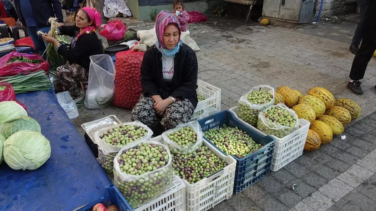 edremitte kirma zeytin gelenegi zZ1qeVj8.jpg