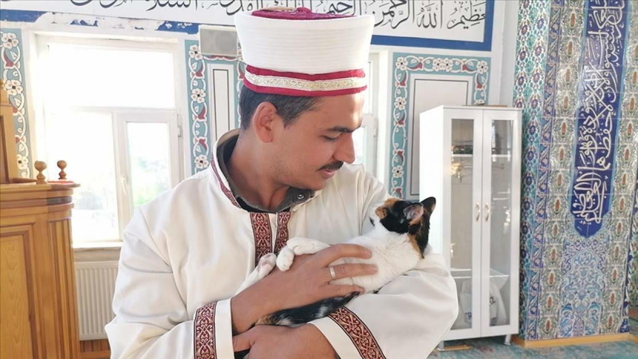 kedileri legende yikayan imam hayvan sevgisiyle ornek oluyor RMIMMbwF.jpg