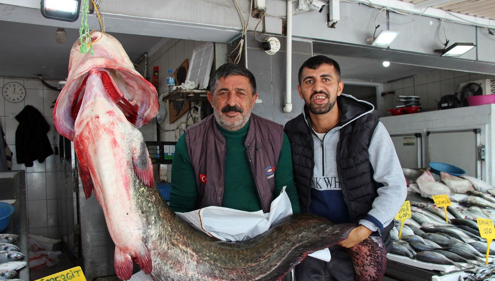 kilosu 250 liradan satisa sunuldu tam 85 kilogram agirliginda 6jeItJXC