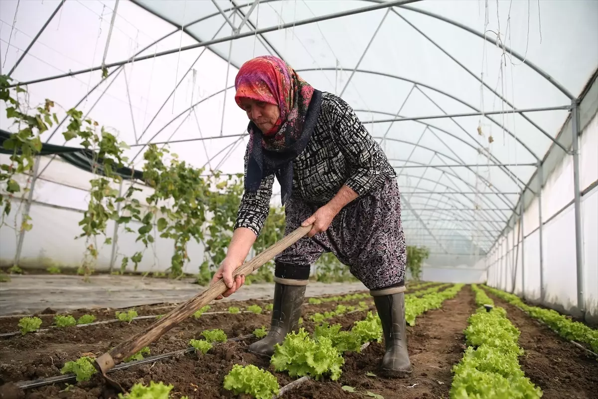 sirin uysalin ikinci serasi kuruluyor BBd5OYJa.jpg