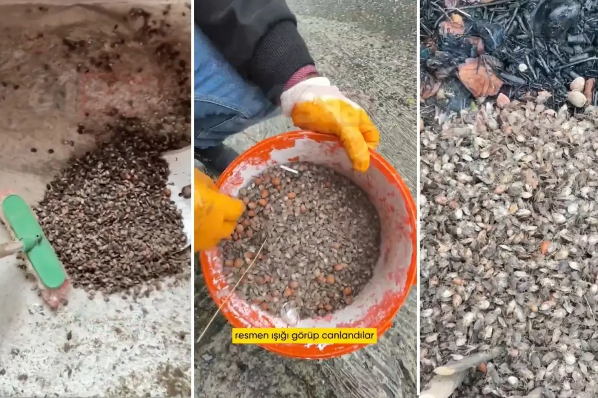 turkiyenin oteki gundemi son virajdayiz diyen vatandastan endiselendiren sozler Byg2dGzy.jpg