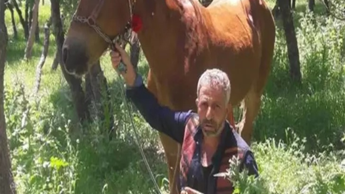 diyarbakirda babasini olduren saniga 15 yil verildi MjZaGTHQ.jpg