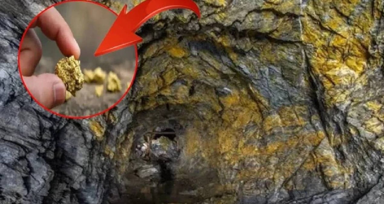 dunyanin en derin 10 altin madeni yerin altina iniyorlar kulce kulce altin cikariyorlar 7qUAiFkc.jpg