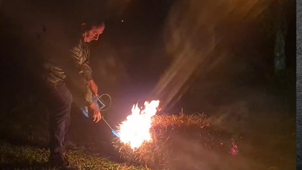 Iğdır’da Kayısı Koruma Mücadelesi: Asırlık Dumanlama Yöntemi Uygulanıyor