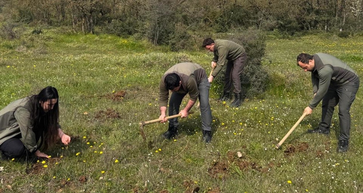 İzinsiz Bitki Toplayan Kişiye 699 Bin TL Ceza Uygulandı